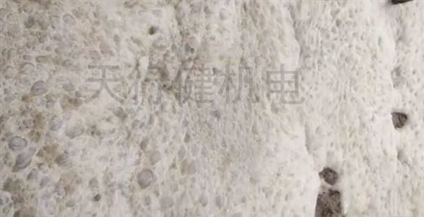 污水池泡沫 污水池泡沫