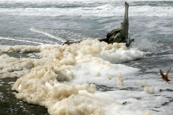 發電泡沫.png 發電泡沫.png