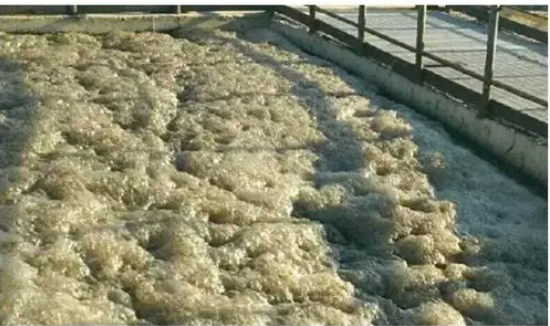 污水泡沫.png 污水泡沫.png