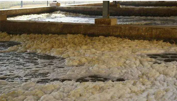 污水泡沫.png 污水泡沫.png