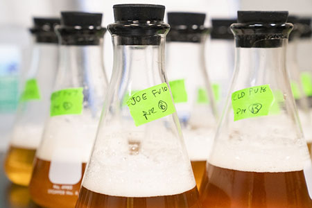 氣泡清除的重要性 氣泡清除的重要性